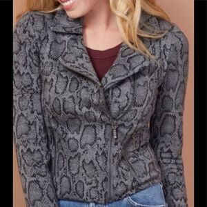 Evereve Lemon Tart Moto Snake Print Jacket - S gray black,NWOT , rayon spandex